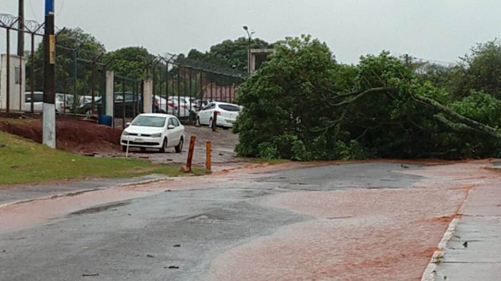 Município decreta estado de emergência por causa dos estragos da chuva
