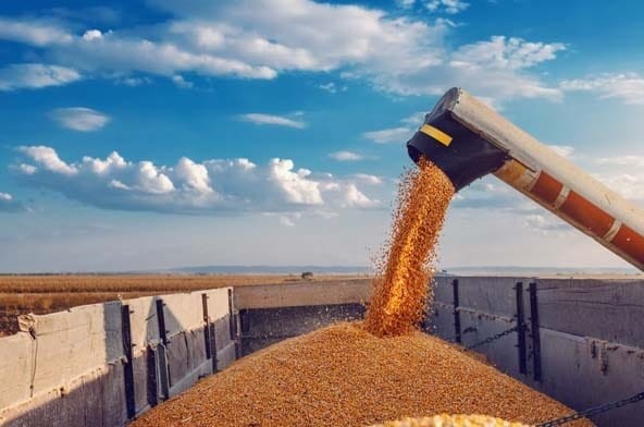 Faturamento do agronegócio deve ultrapassar R$ 1,1 tri neste ano
