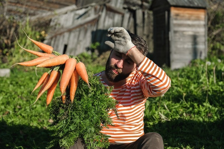 Campanha 'Brasileiros pelo Brasil' leva alimentos da agricultura familiar a quem precisa