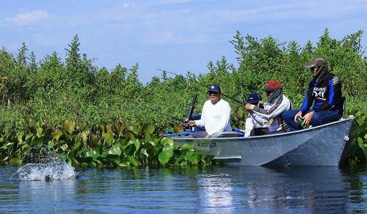 MS: Período de defeso da pesca começa no próximo dia 5