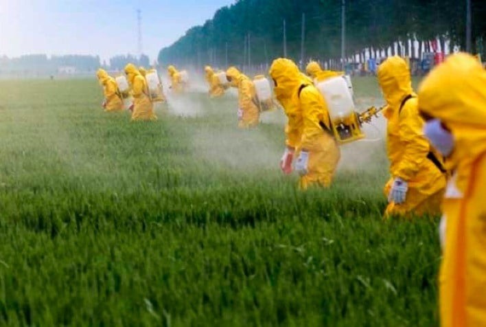 Estudo propõe defensivos agrícolas ilegais como pauta prioritária do Mercosul