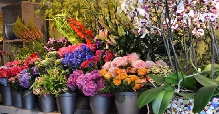 Pesquisa mostra diferença de até 500% no preço dos produtos para o 'Dia de Finados'