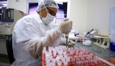 Outubro tende a ser o mês com menor número de óbitos por Covid-19