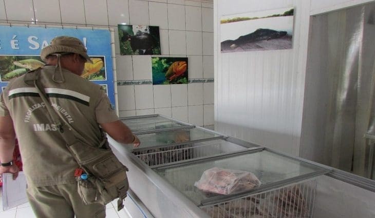 Piracema: fiscalização de peixarias e restaurantes começa nesta segunda-feira