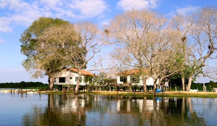 Dia do Pantanal: Investimentos levam tecnologia e rompe isolamento no santuário ecológico