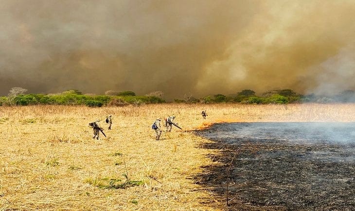 Pesquisadores da Uems analisam fogo histórico no Pantanal