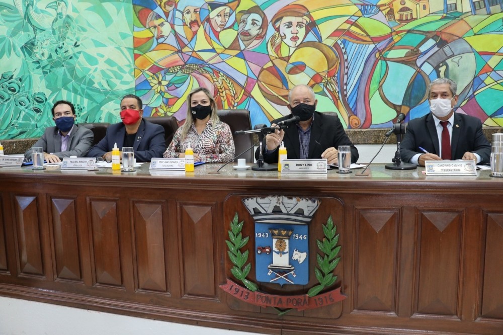 Legislativo de Ponta Porã adere à campanha de violência contra a mulher