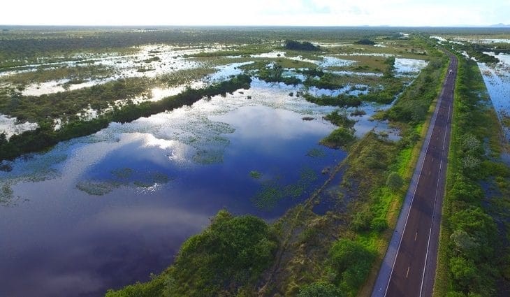Seminário sobre Sustentabilidade e Carbono Neutro acontece nessa quinta